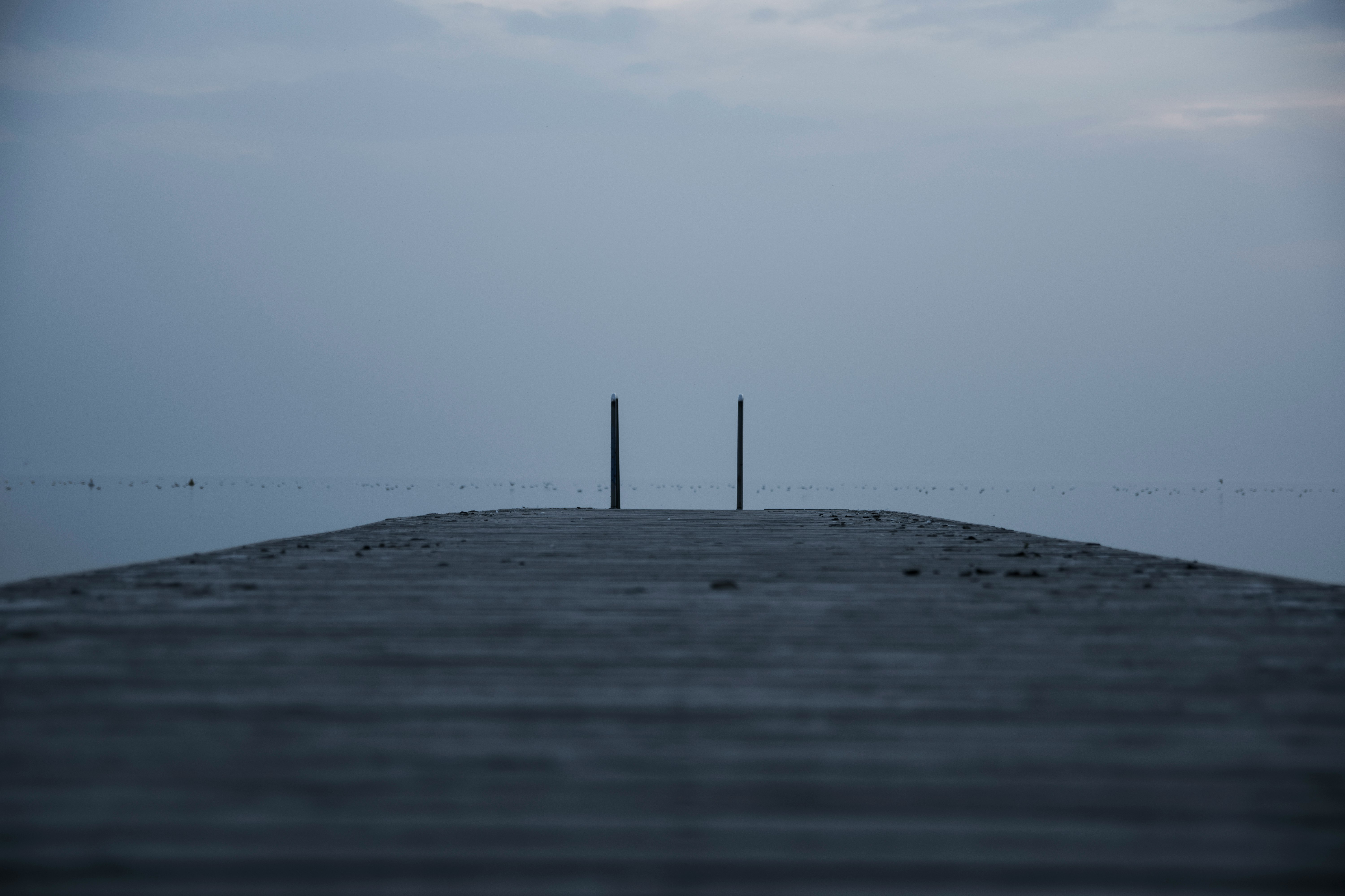 brown wooden dock